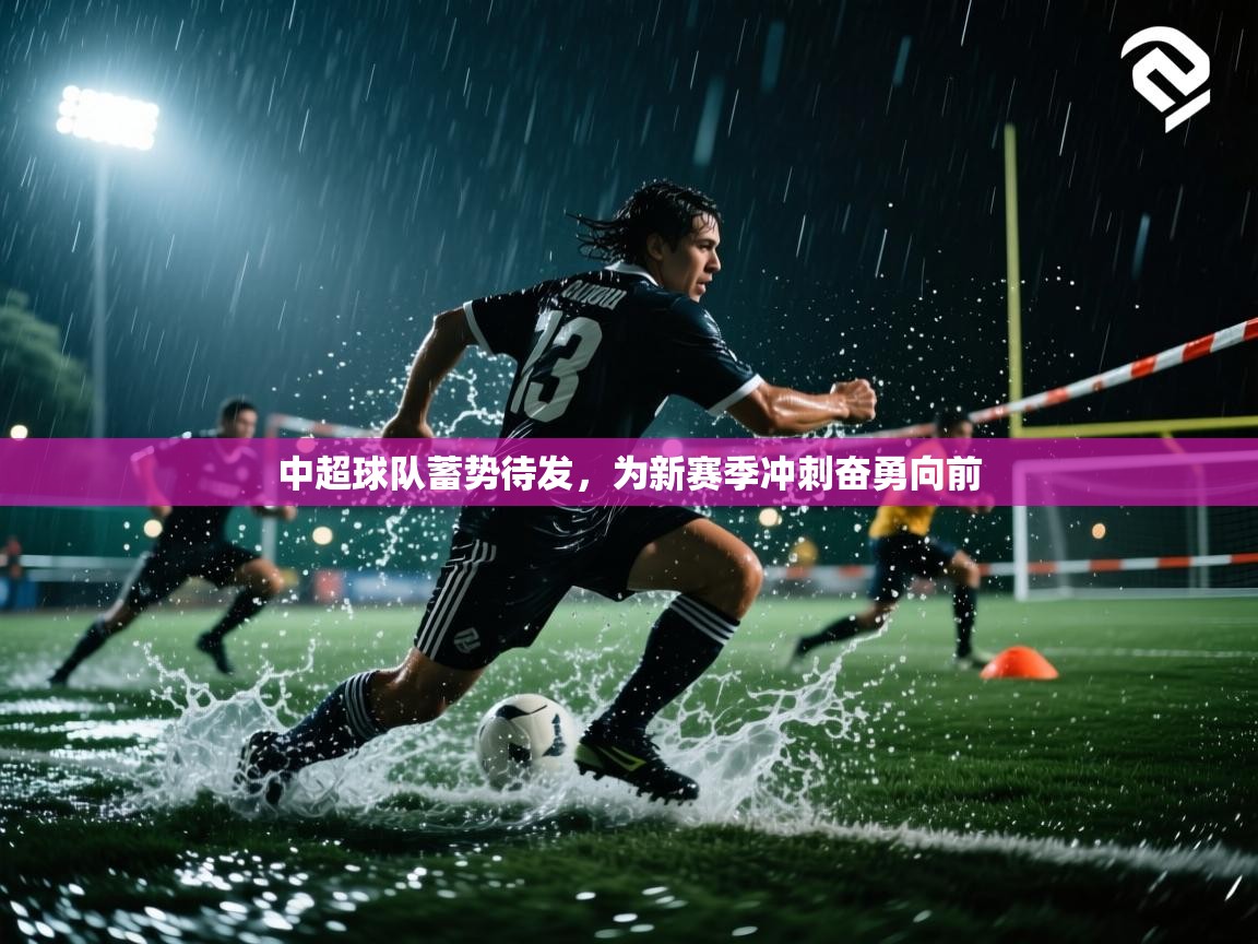 中超球队蓄势待发，为新赛季冲刺奋勇向前  第2张