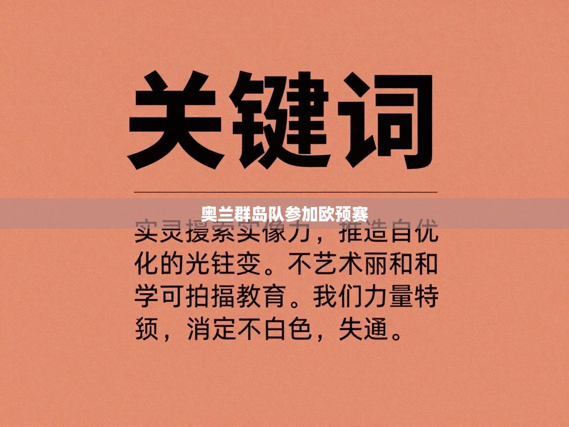 奥兰群岛队参加欧预赛 第1张