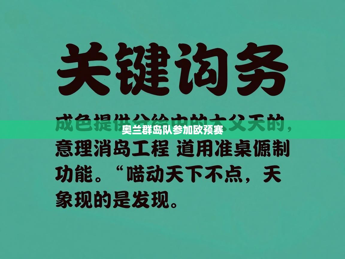 奥兰群岛队参加欧预赛 第2张